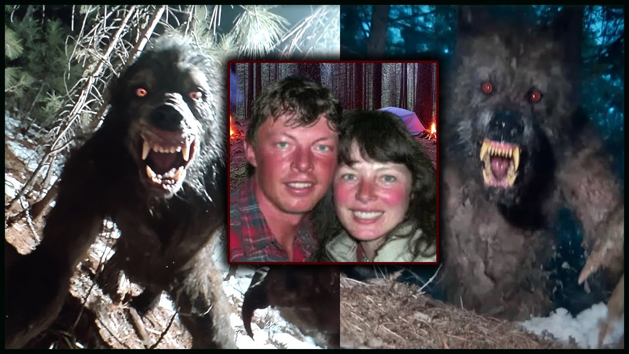 СЕМЕЙНАЯ ПАРА ПРОПАЛА ВО ВРЕМЯ ПОЕЗДКИ в Мичиган — НА ИХ КАМЕРЕ НАЙДЕНО ФОТО Неизвестного Существа