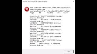 How to Fix ANSYS Error: Intel Visual Fortran Run-Time Severe (29)