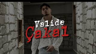 Cakal - Valide