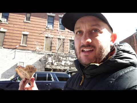NOT A PIZZA REVIEW | NBHD NICK