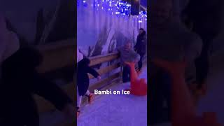 Bambi on Ice #family #love #iceskating #fail