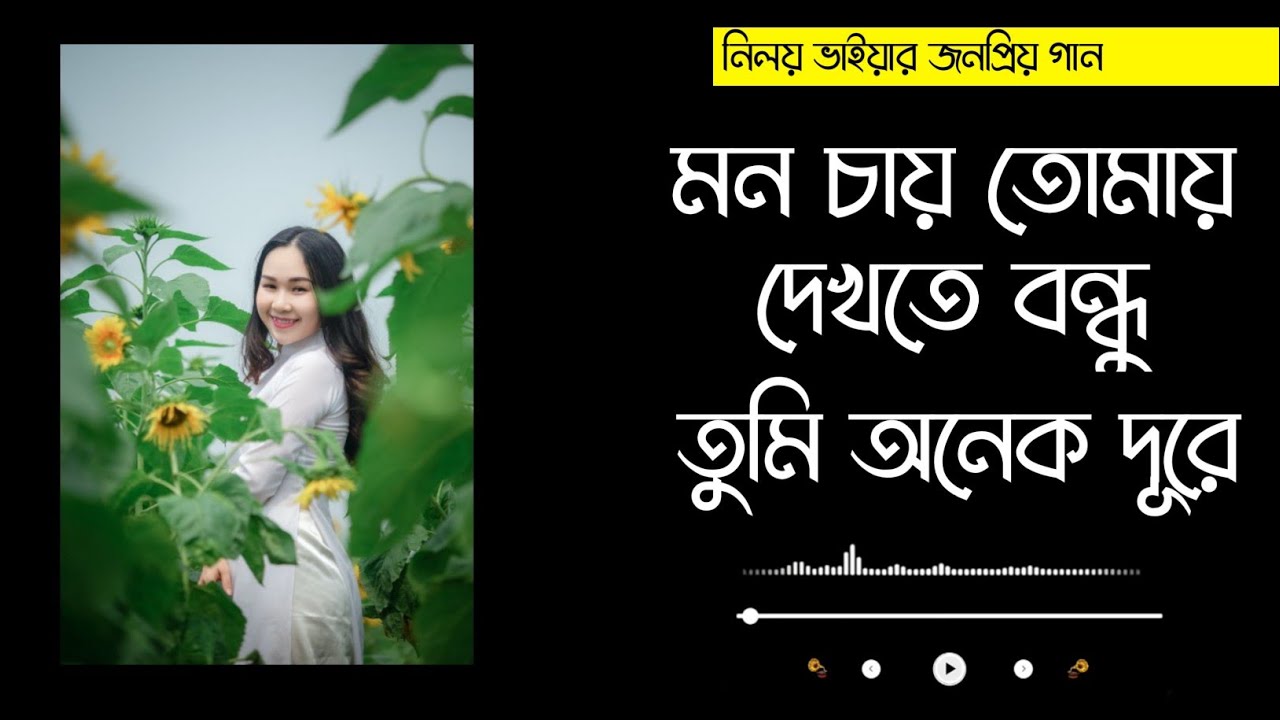 মন চায় তোমায় দেখতে বন্ধু তুমি অনেক দূরে | নিলয়ের গান mon chai tomay