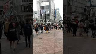 Shibuya Crossing, Shibuya, Tokyo, Japan