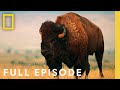 Badlands full episode  americas national parks