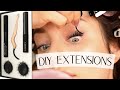 Are These The Most Beautiful Eyelashes Ever!? DIY Extensions