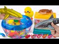 [toy asmr] Robo Killer Shark Playset &amp; Zuru Alive Aquarium ASMR Satisfying with Unboxing Review Toys
