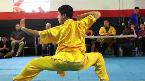 Is Wushu the same as kung fu?