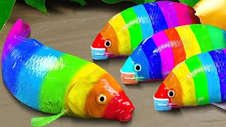 Stop Motion ASMR | Catfish Hunting Rainbow Koi Fish to steal their cubs 스톱모션 ASMR | 메기 사냥 무지개 잉어 물고기