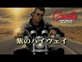 クールス 紫のハイウェイ COOLS 決定版 たちひろし CINEMATIC