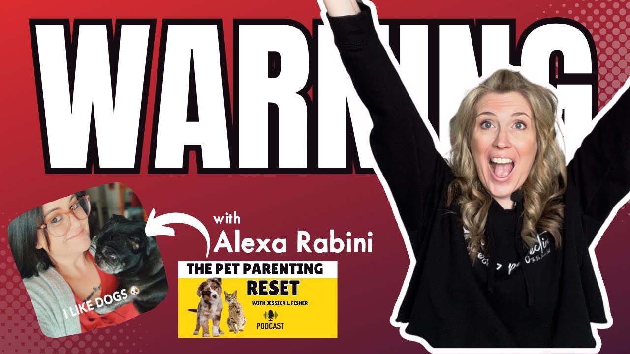 warning-do-not-use-apps-for-dog-care-youtube