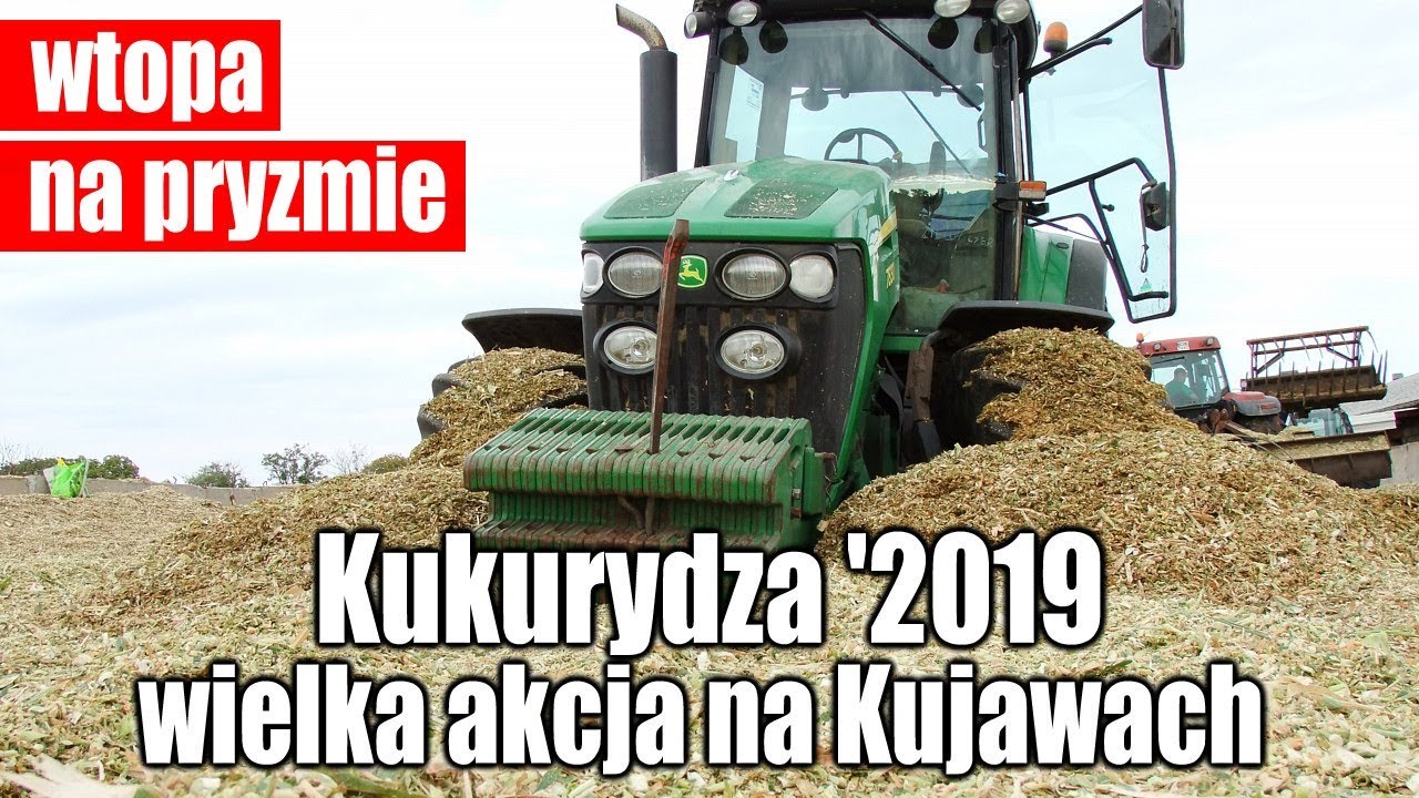 maxresdefault Kukurydza 2019 – wielka akcja na Kujawach – WIDEO