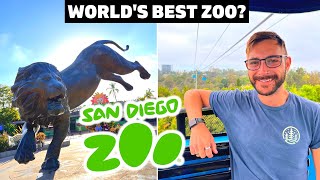THIS IS WHY San Diego Zoo Is The Best In The World