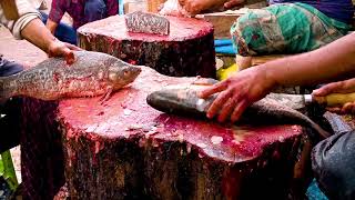 Amazing Big Fish Cutting in Fish Market | Huge Egg Silver Carp Fish Cutting Skills In Bangladesh.