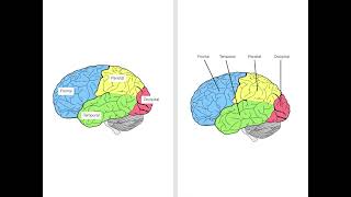 Four tips for reducing cognitive load (Cognitive Load, Part 2 of 2)