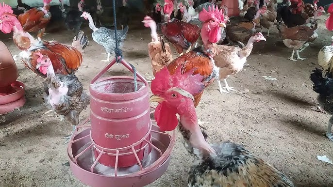 Tungi koylakda oyoqlar orasidagi porno fotosurat 7 erkak uchun super jinsiy aloqa