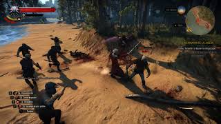The Witcher 3 GOTY blood mods