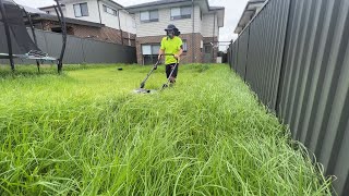 What would you FEAR most in this overgrown AUSTRALIAN yard?