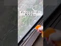 【無理しない実家の大掃除】#二人暮らし　#夫婦暮らし　#暮らしの知恵　#暮らしのアイデア　#便利グッズ　#滑舌　#滑舌悪い