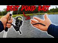 Fishing private texas pond for big bass