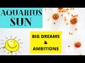 Sun in Aquarius - HEADSTRONG (POLITICS)