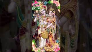 #song #live #love #entertainment #music #shortsviral #shortvideos #viralvideos #permacultur