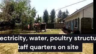 1/4 acre established poultry / chicken farm in Ruai for sale
