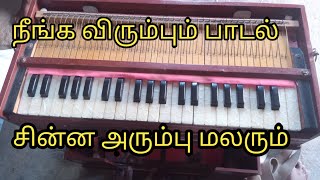 சின்ன அரும்பு மலரும்