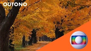 Rede Globo Vinheta De Outono Ista