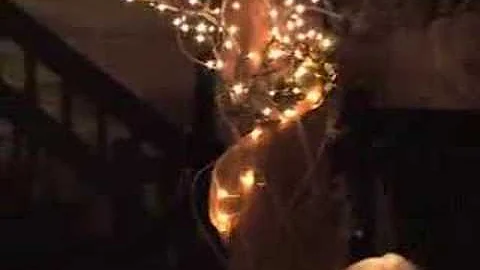 Grape Video Presents Cindy and Troy's wedding reca...