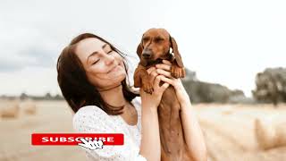 Can dogs eat nuts? Should Dogs Eat Nuts