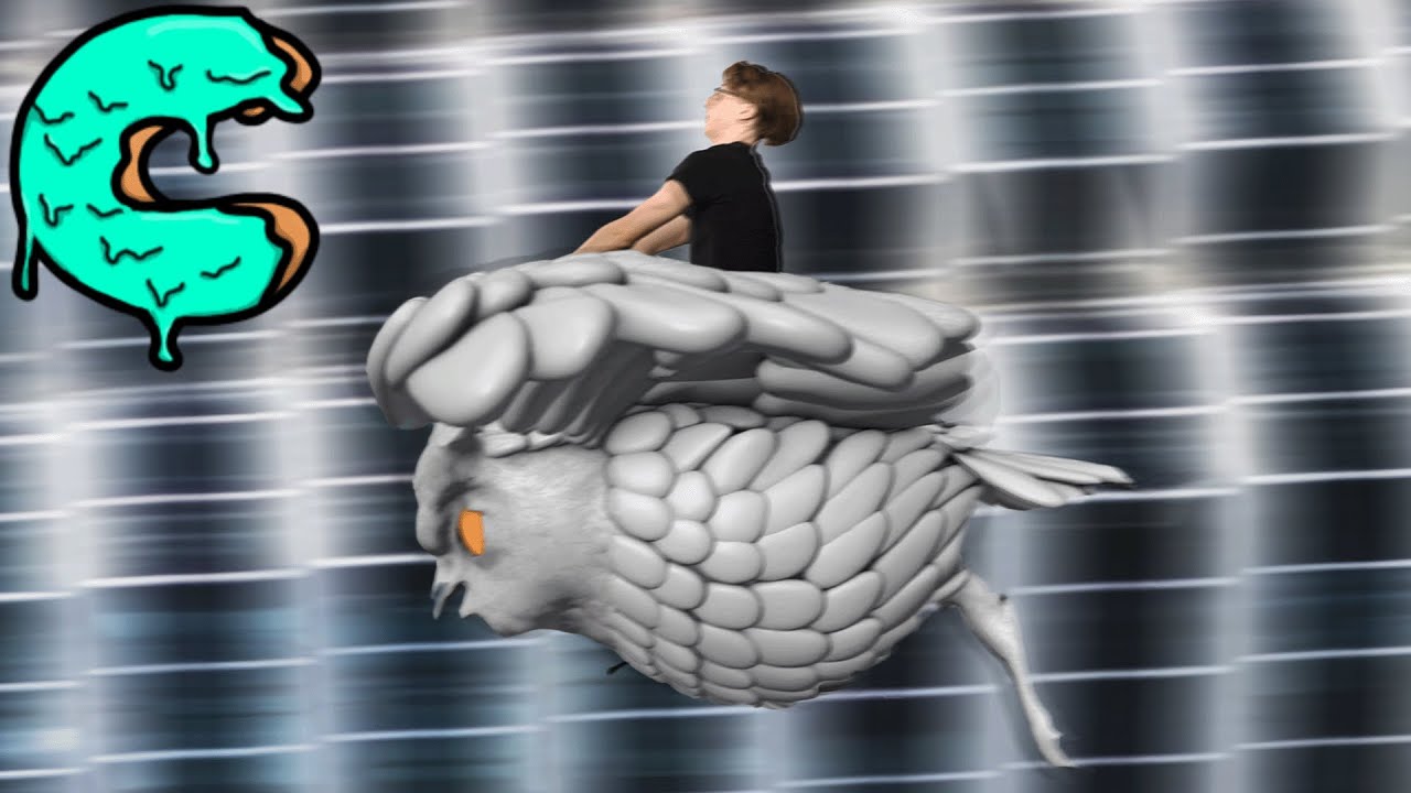 weluvmax - Hooters (Official Music Video) | Directed by Nathan Coles Jr.