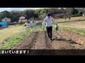 バクチャー植物の使い方！畑を耕して畝を作るまで！