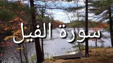 Coran Sourat Al Fil 4K القرآن الكريم :  سورة الفيل