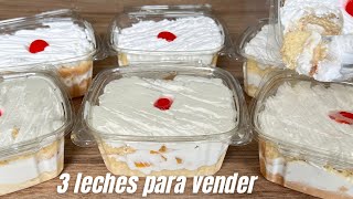 MINI PASTEL 3 LECHES PARA VENTA | VENDE TUS POSTRES CON 1/4 DE PLANCHA | POSTRES CON IXCHEL