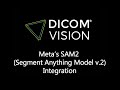 Segment Anything on Your DICOM Data with Meta's SAM2 and DICOM Vision