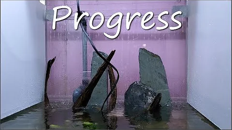 Paludarium Build Part 2