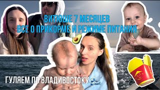 ВСЕ О ПРИКОРМЕ🥑|ВИТЮШЕ 7 МЕСЯЦЕВ| ГУЛЯЕМ ПО ВЛАДИВОСТОКУ🌊|ВЛОГ МОЛОДОГО ОТЦА|ПАРК АТРАКЦИОНОВ🎠