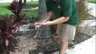 twisted wire for dog fence