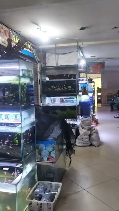 Iseng main ke Perikanan Cengkareng || Part 1 - Kalau rame lanjut part 2