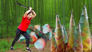 Harvesting Giant Bamboo Shoots & Chinese Yams to Sell at the Market 💖 | Farm Life Tropics 🌿4K