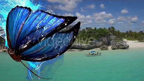 Blue Butterfly Particle Trailing Flying Transtion V2 | Motion Graphics - Envato elements