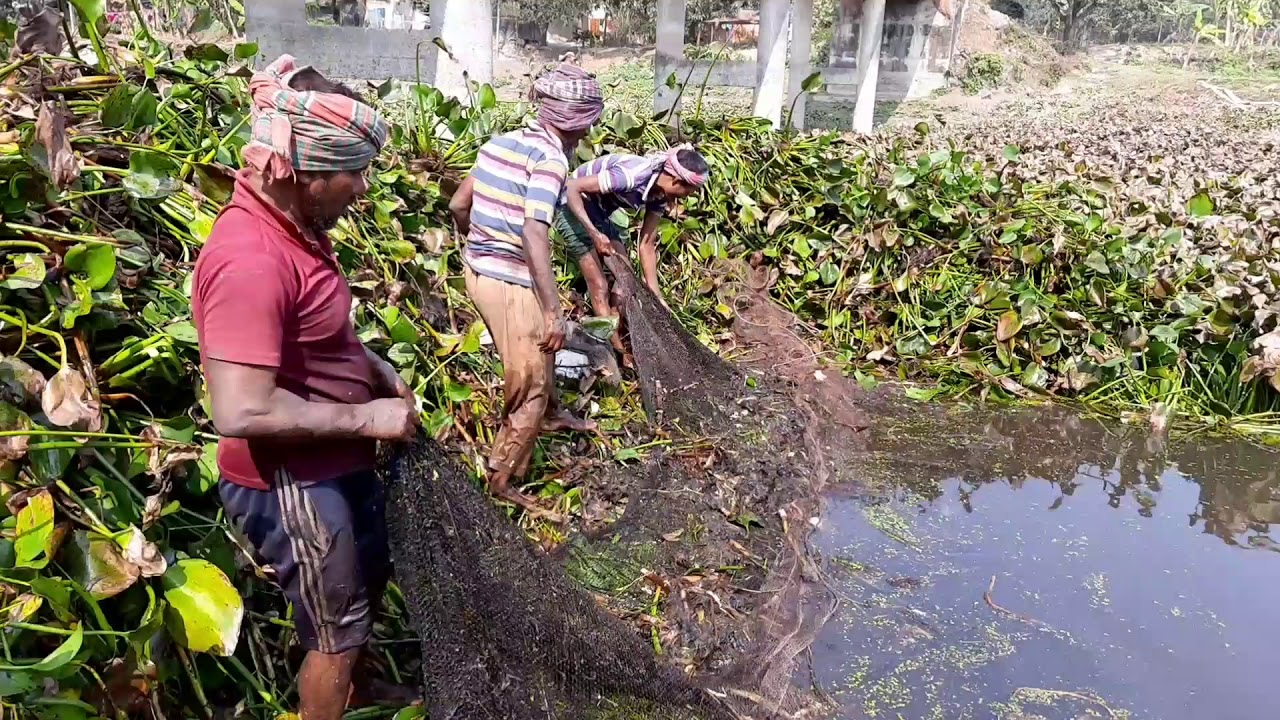 Best Cast Net Fishing Video -The Most Catch Fishing With Beautiful