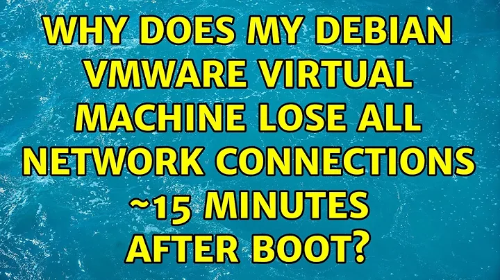 Why does my Debian VMWare virtual machine lose all network connections ~15 minutes after boot?