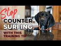 Stop counter surfing with this training tip