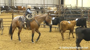 RHR Got Gypsy Blue(Buddy) - sorting cows and barrels! - ValleyViewRanch.net