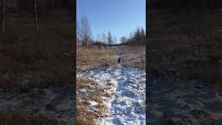 24 Ноября 2022 Г.