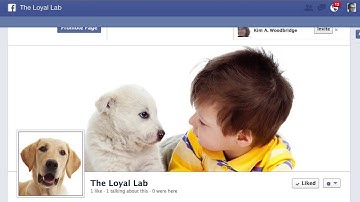 How to Embed a Webpage in a Facebook Custom Tab - 2 Cent Facebook Clicks