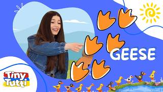 Tiny Tutti: Geese | for Preschoolers, Toddlers, and Babies