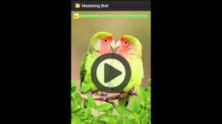 Aplikasi Suara Kicau Burung  Mastering Birds