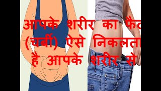 शरीर का एक्स्ट्रा फैट (चर्बी) ऐसे निकलता है आपके शरीर से/ How Your Extra Fat Leaves Your Body